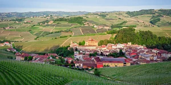 Barolo
